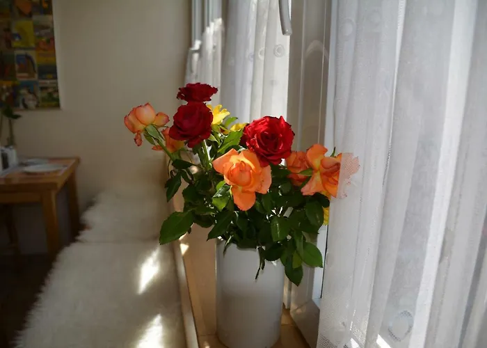 Πανσιόν Lex Im Gartenhof