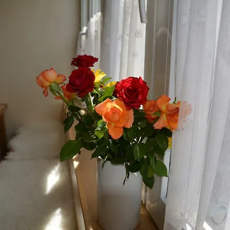 Gasthuis Lex Im Gartenhof